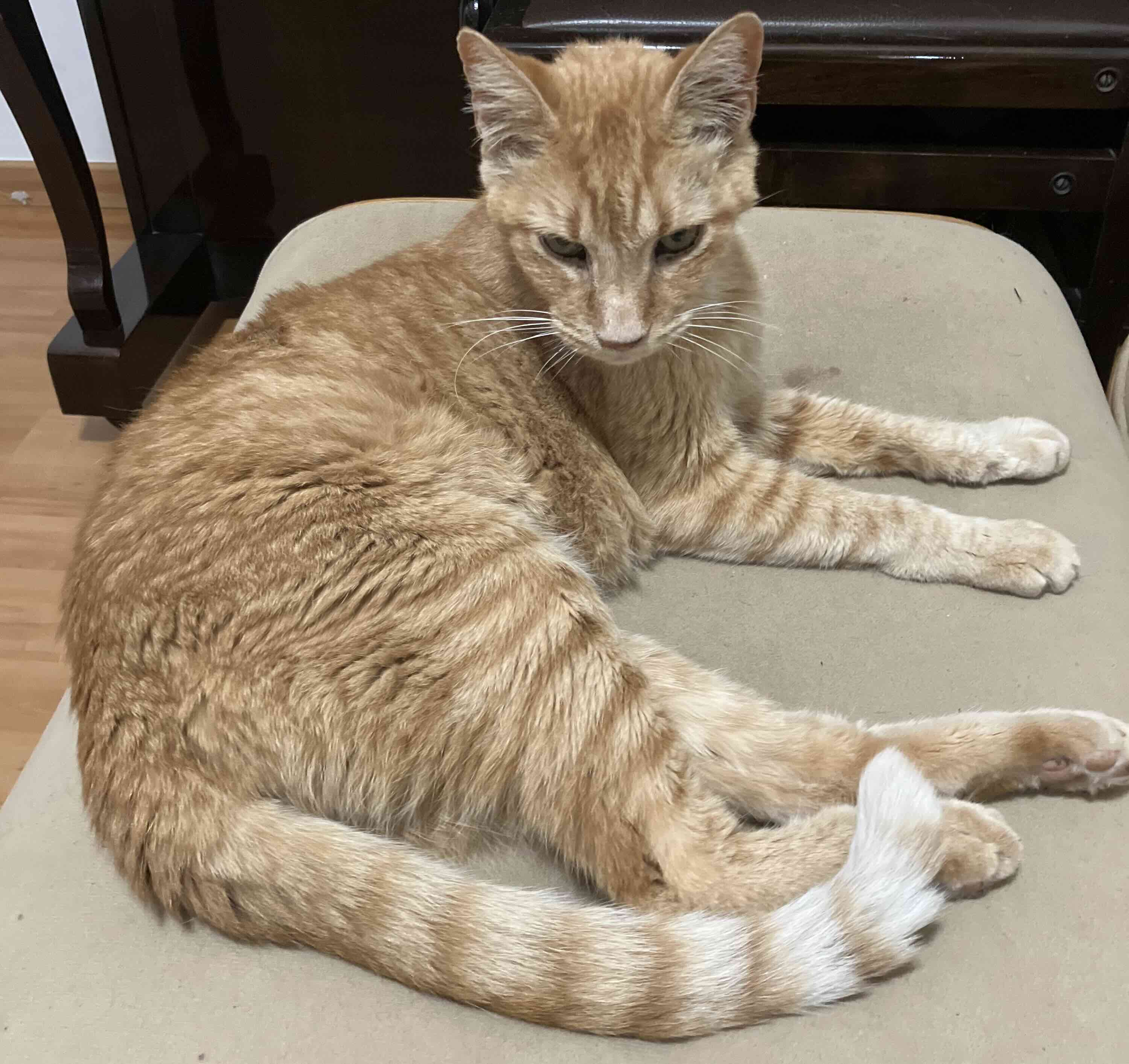 AI brought me back to social media