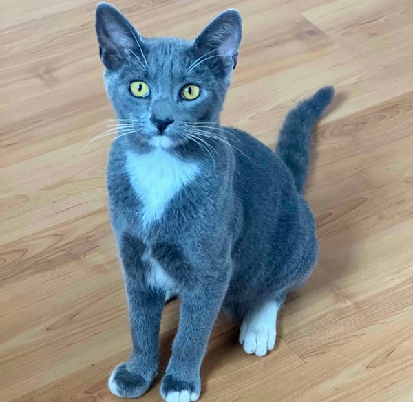 How I read books (2012)